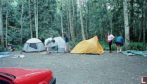Tents in a Line